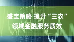 盛宝策略 提升“三农”领域金融服务质效