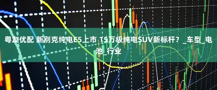 粤友优配 新别克纯电E5上市 15万级纯电SUV新标杆？_车型_电池_行业